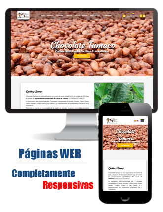 Desarrollo de Paginas Web en Cali - Colombia