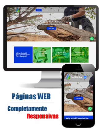Desarrollo de Paginas Web en Cali - Colombia