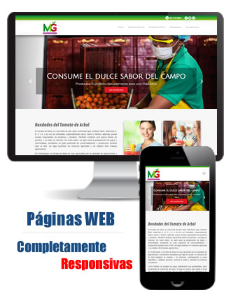 Desarrollo de Paginas Web en Cali - Colombia