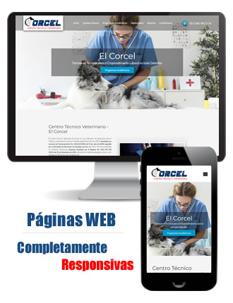 Desarrollo de Paginas Web en Cali - Colombia