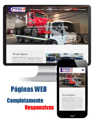 Desarrollo de Paginas Web en Cali - Colombia