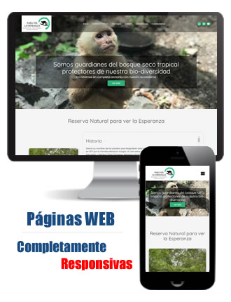 Desarrollo de Paginas Web en Cali - Colombia